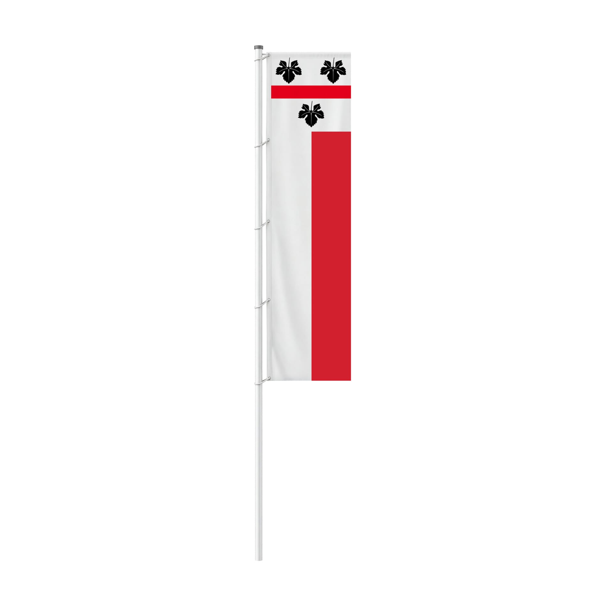 Fahne Gemeinde 8536 H&uuml;ttwilen (TG) | 30 x 30 cm und Gr&ouml;sser - Bild 2