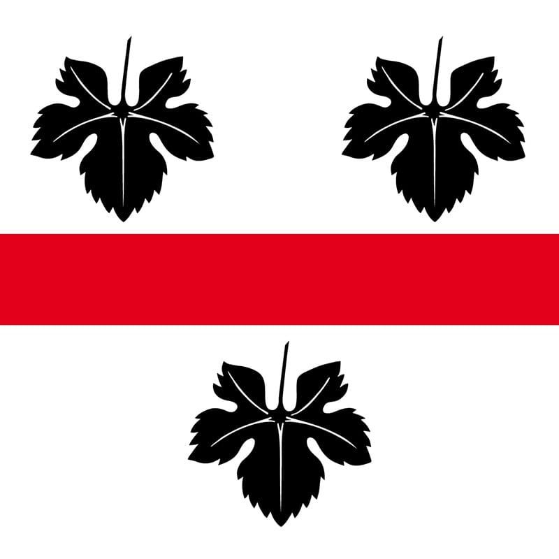 Fahne Gemeinde 8536 H&uuml;ttwilen (TG) | 30 x 30 cm und Gr&ouml;sser - Bild 1