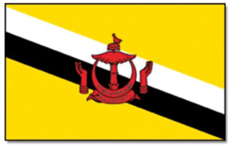 L&auml;nderfahne Brunei Darussalam | Multi-Flag | Gr&ouml;sse ca. 90 x 150 cm - Bild 1