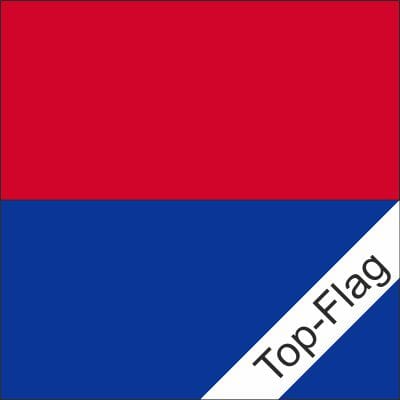 Fahne Tessin TI gedruckt | 80 x 80 cm - Bild 1