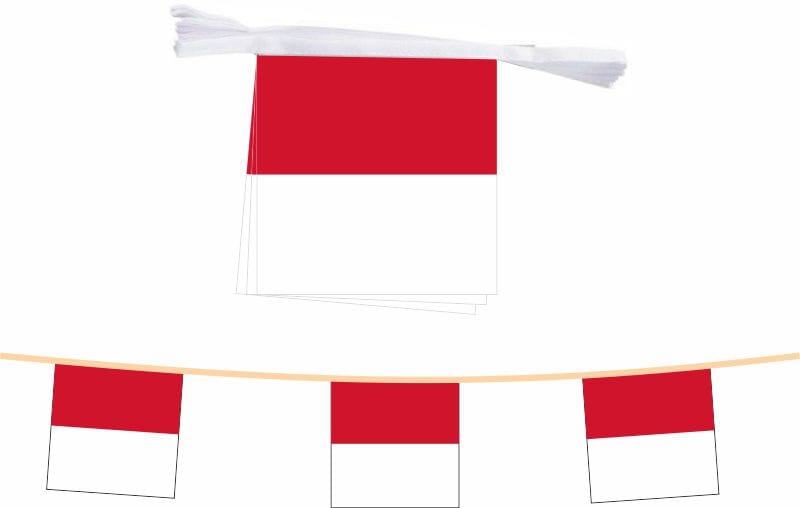 Fahnenkette Kanton Solothurn | 15 Fahnen 20 x 20 cm 5 m lang - Bild 1