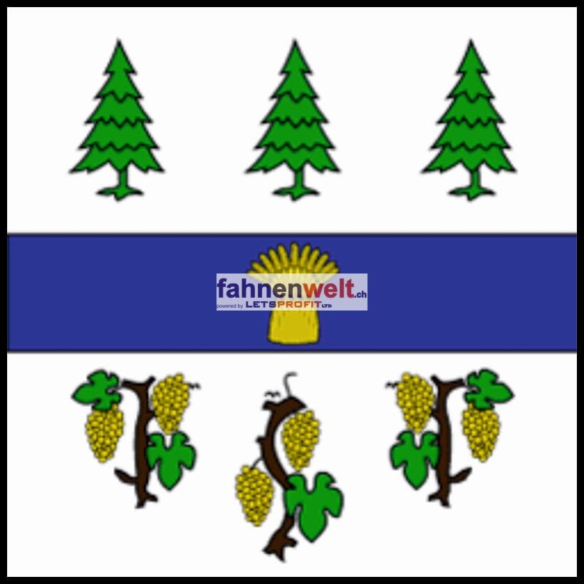 Fahne Gemeinde 1268 Begnins (VD) | 30 x 30 cm und Gr&ouml;sser - Bild 1