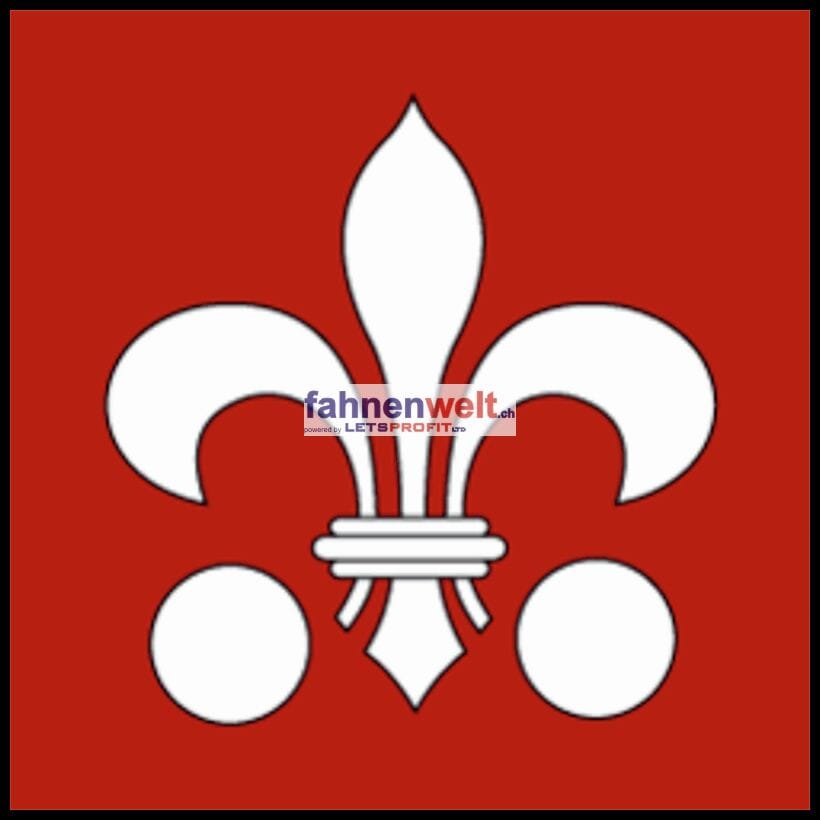 Fahne Gemeinde 2885 Epauvillers Ehemalige Gemeinde (JU) | 30 x 30 cm und Gr&ouml;sser - Bild 1