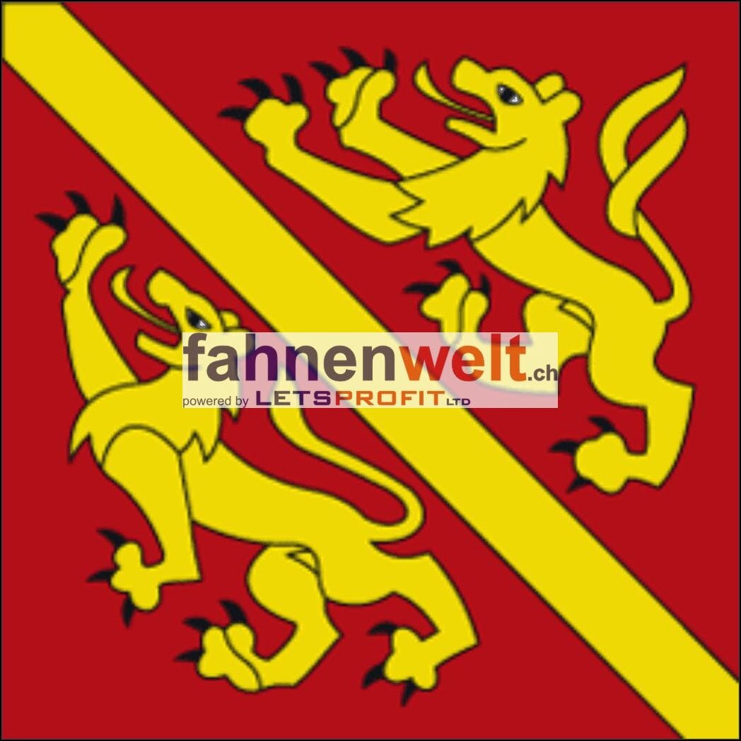 Fahne Bezirk Fraubrunnen (BE) | 30 x 30 cm und Gr&ouml;sser - Bild 1