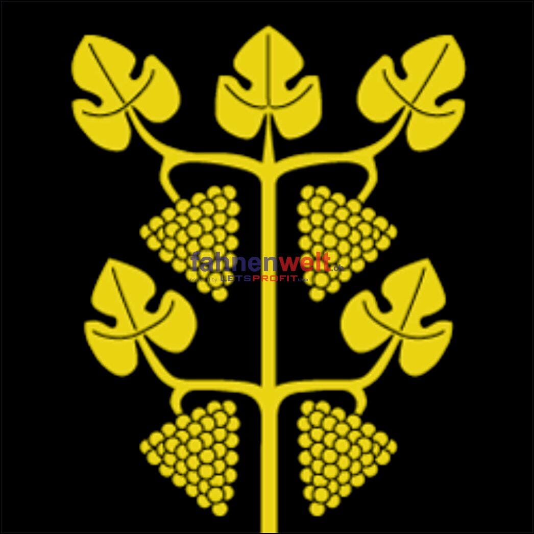 Fahne Gemeinde 9506 Weingarten Ehemalige Gemeinde (TG) | 30 x 30 cm und Gr&ouml;sser - Bild 1