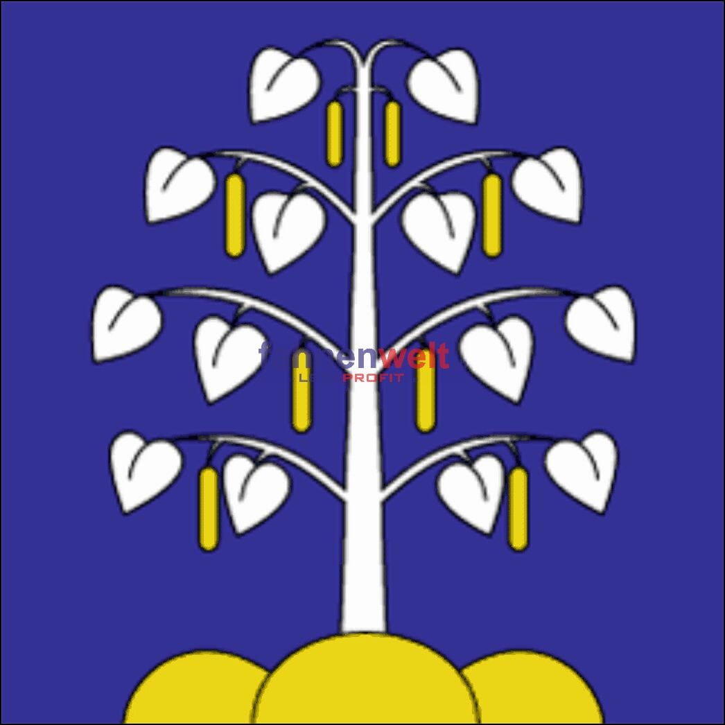 Fahne Gemeinde 8309 Birchwil Ehemalige Gemeinde (ZH) | 30 x 30 cm und Gr&ouml;sser - Bild 1