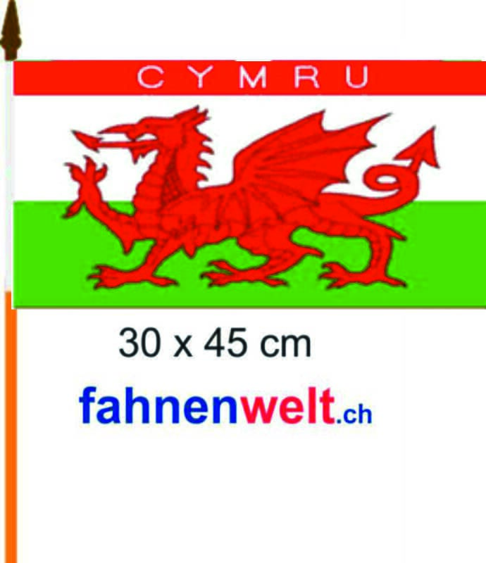 Wales Cymru Fahne / Flagge am Stab | 30 x 45 cm - Bild 1