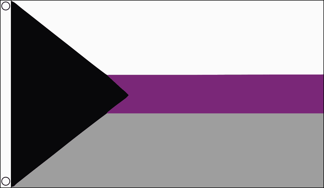 Demisexual Fahne aus Stoff | 90 x 150 cm - Bild 1