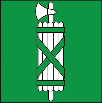 50% Fahne St. Gallen (SG) gedruckt | 120 x 120 cm | Multi-Flag - Bild 1