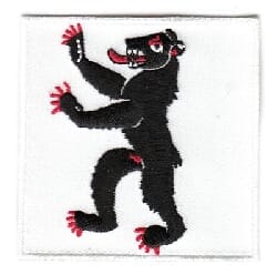 Patch Sticker zum aufb&uuml;geln Appenzell Innerrhoden | 7 x 7 cm - Bild 1