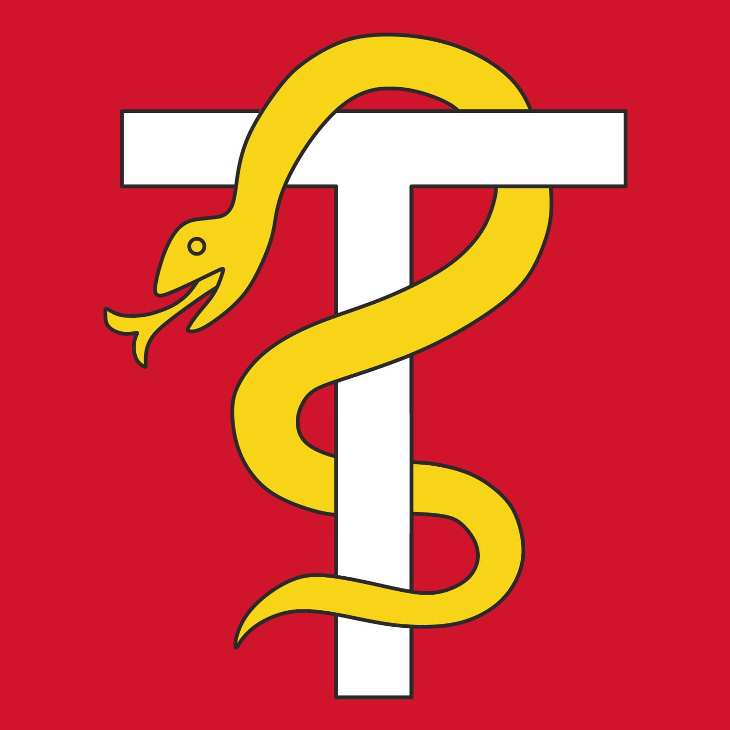 Fahne Gemeinde 8853 Lachen (SZ) | 30 x 30 cm und Gr&ouml;sser - Bild 1