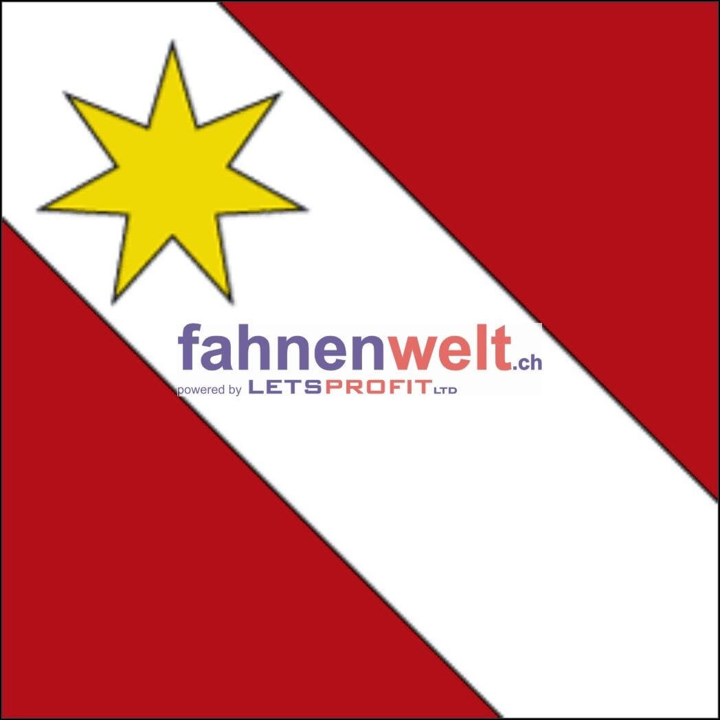 Fahne Bezirk Thun (BE) | 30 x 30 cm und Gr&ouml;sser - Bild 1