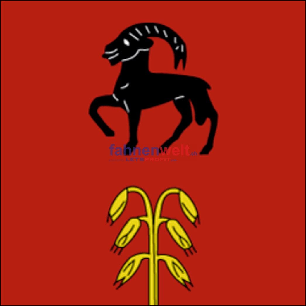 Fahne Gemeinde 6958 Bidogno Ehemalige Gemeinde (TI) | 30 x 30 cm und Gr&ouml;sser - Bild 1