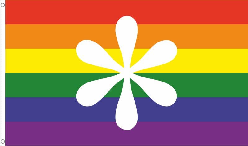 Regenbogen mit Genderstern Fahne aus Stoff | 90 x 150 cm - Bild 1