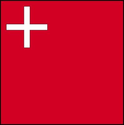 50% Fahne Schwyz (SZ) gedruckt | 100 x 100 cm | Multi-Flag - Bild 1