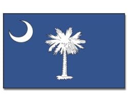 South Carolina Hissfahne gedruckt im Querformat | 90 x 150 cm - Bild 1