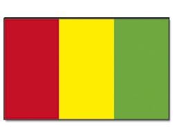 Guinea Hissfahne gedruckt im Querformat | 90 x 150 cm - Bild 1