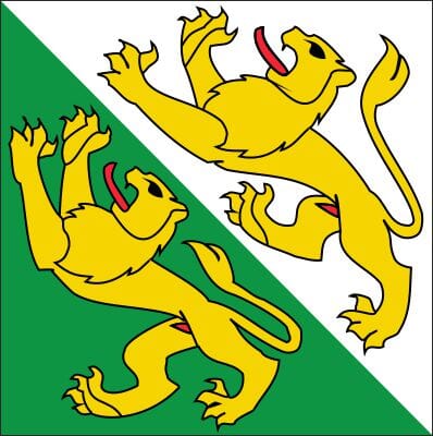 50% Fahne Thurgau (TG) gedruckt | 120 x 120 cm | Multi-Flag - Bild 1