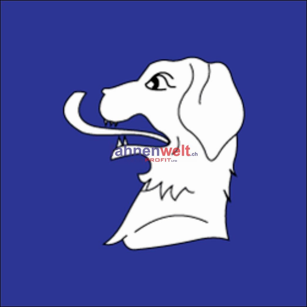 Fahne Gemeinde 6837 Caneggio Ehemalige Gemeinde (TI) | 30 x 30 cm und Gr&ouml;sser - Bild 1