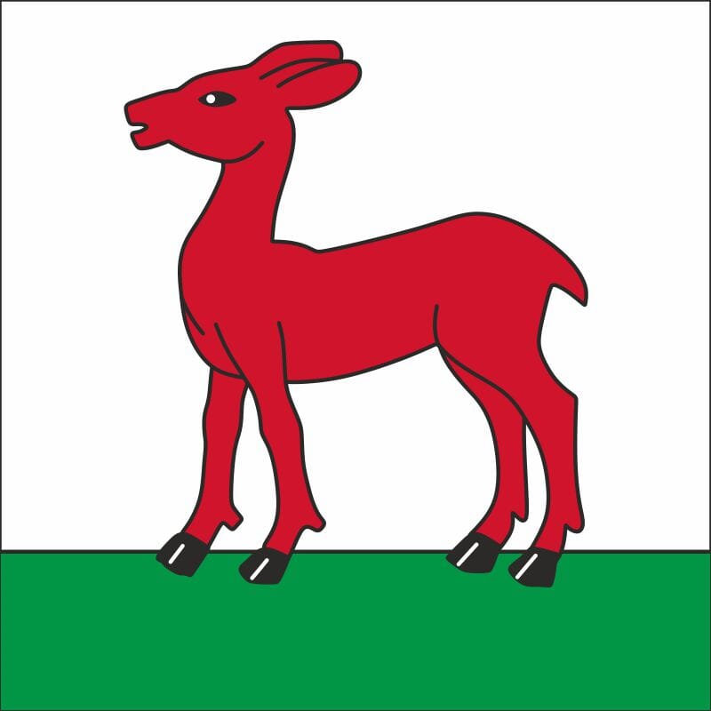 Fahne Gemeinde 3308 Grafenried Ehemalige Gemeinde (BE) | 30 x 30 cm und Gr&ouml;sser - Bild 1
