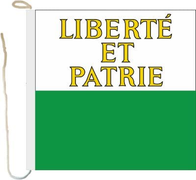 Bootsfahne / Bootsflagge Waadt | 30 x 30 cm - Bild 1
