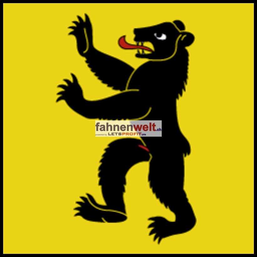 Fahne Gemeinde 1724 Praroman Ehemalige Gemeinde (FR) | 30 x 30 cm und Gr&ouml;sser - Bild 1