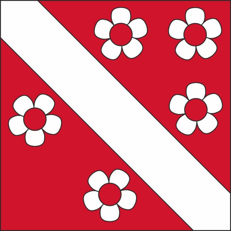 Fahne Gemeinde 8374 Oberwangen Ehemalige Gemeinde (TG) | 30 x 30 cm und Gr&ouml;sser - Bild 1