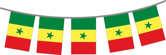 Fahnenkette Senegal gedruckt aus Stoff | 30 Fahnen 15 x 22.5 cm 9 m lang - Bild 1