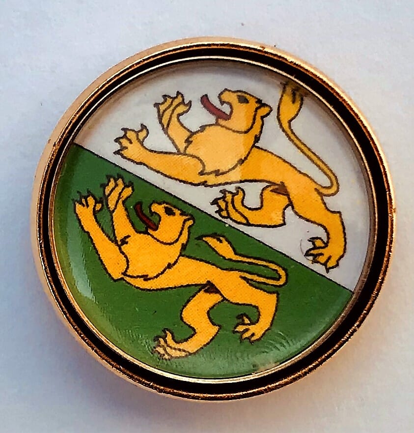 Pin Kanton Thurgau rund mit Verschluss | &Oslash; 1.6 cm - Bild 5