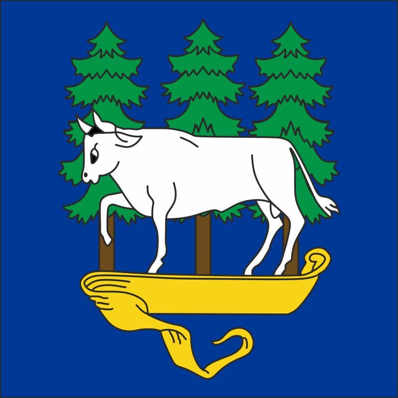 Fahne Gemeinde 3961 St-Luc Ehemalige Gemeinde (VS) | 30 x 30 cm und Gr&ouml;sser - Bild 1