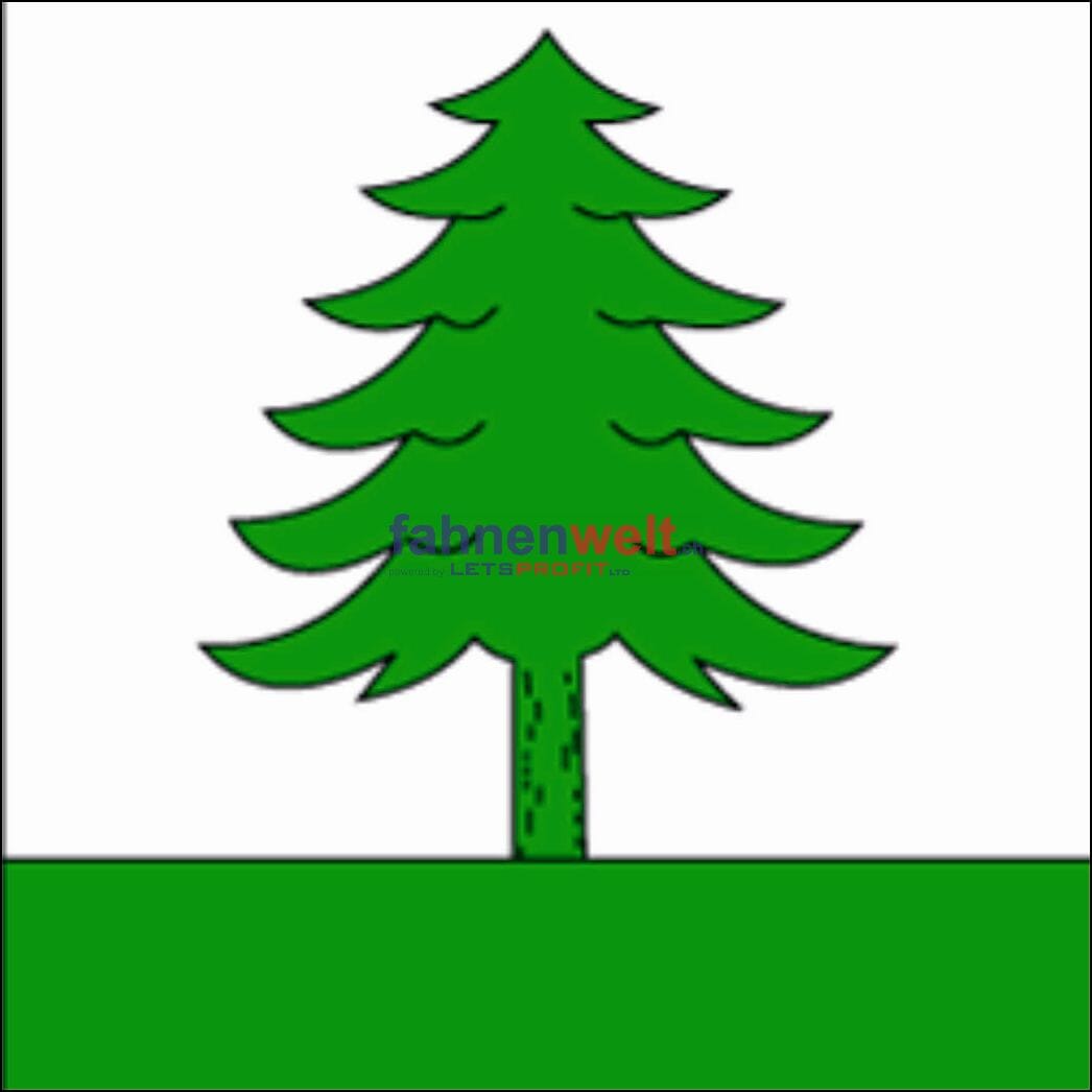 Fahne Gemeinde 2058 Le Paquier Ehemalige Gemeinde (NE) | 30 x 30 cm und Gr&ouml;sser - Bild 1