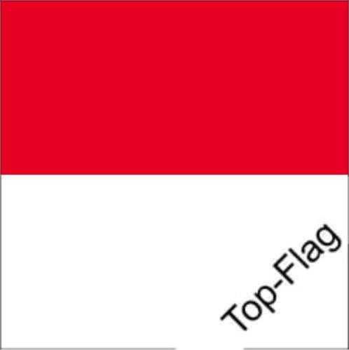 Fahne Solothurn SO gedruckt | 100 x 100 cm - Bild 1
