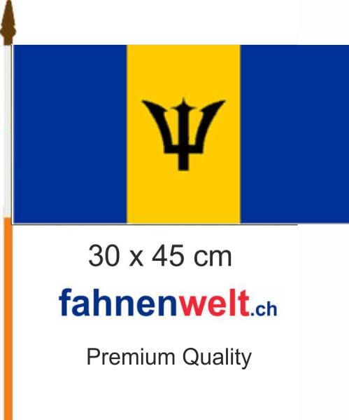 Barbados Fahne / Flagge am Stab | 30 x 45 cm - Bild 1