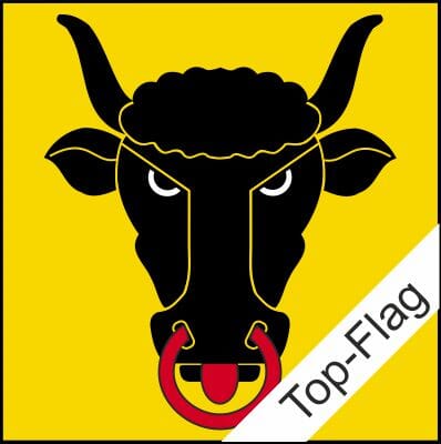 Fahne Uri UR gedruckt | 80 x 80 cm - Bild 1