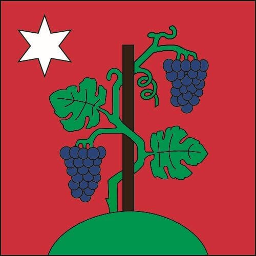 Fahne Gemeinde 8243 Altdorf ehemalige Gemeinde(SH) | 30 x 30 cm und Gr&ouml;sser - Bild 1