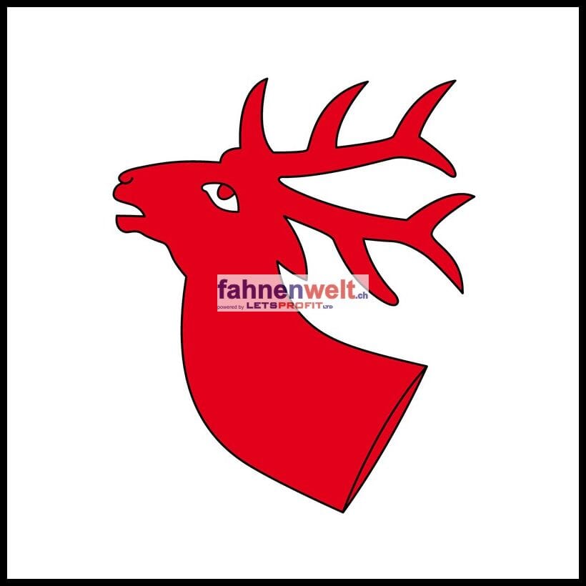 Fahne Gemeinde 9204 Andwil (SG) | 30 x 30 cm und Gr&ouml;sser - Bild 1