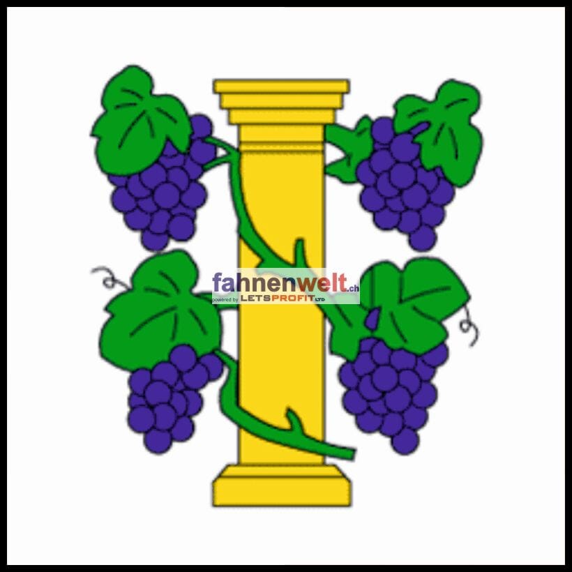 Fahne Gemeinde 1359 Rances (VD) | 30 x 30 cm und Gr&ouml;sser - Bild 1