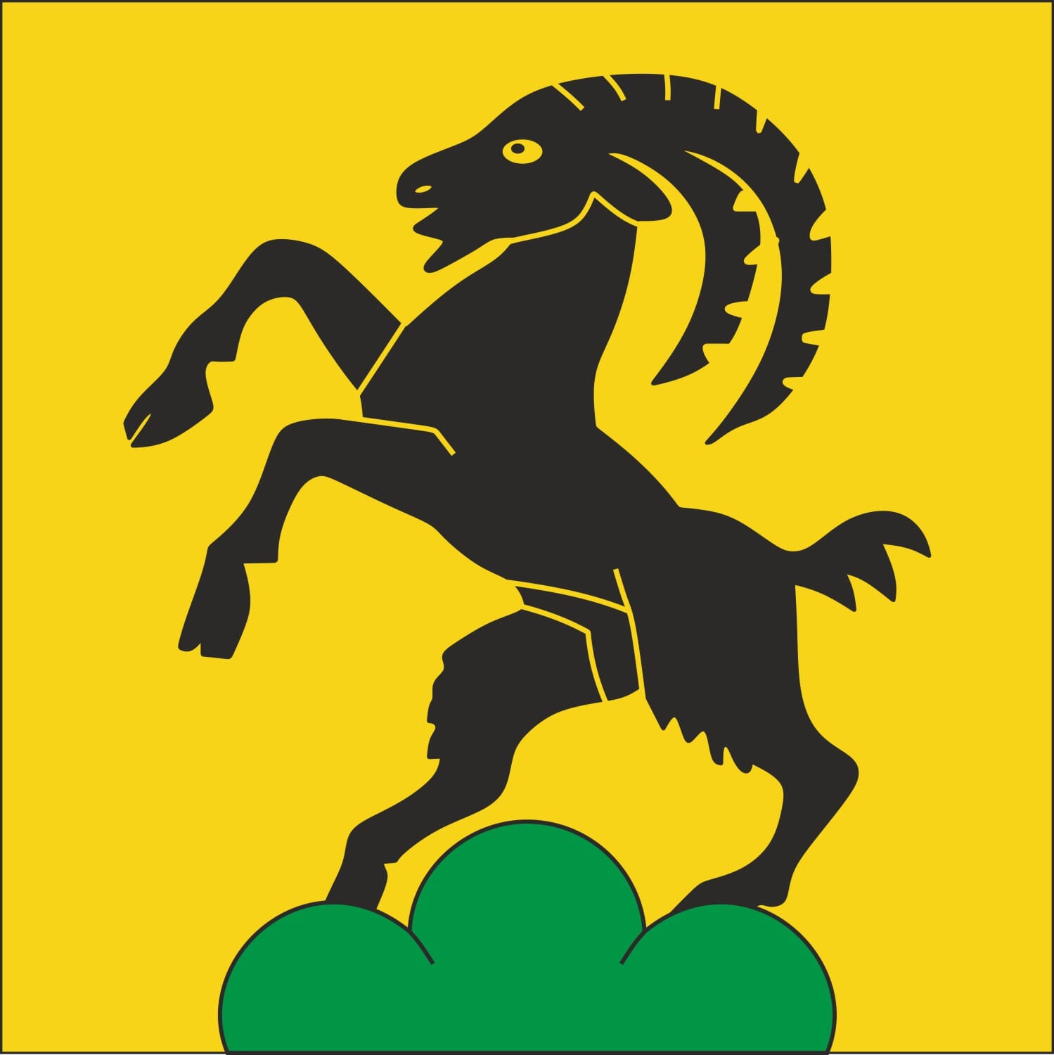 Fahne Gemeinde 4556 Steinhof Ehemalige Gemeinde (SO) | 30 x 30 cm und Gr&ouml;sser - Bild 1