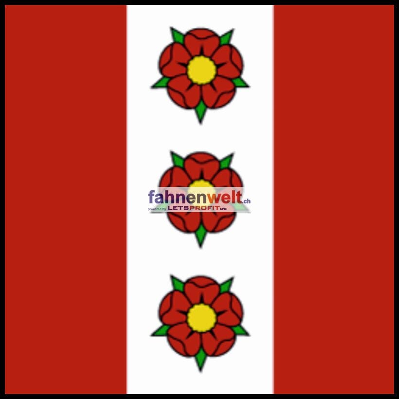 Fahne Gemeinde 1541 Morens (FR) | 30 x 30 cm und Gr&ouml;sser - Bild 1