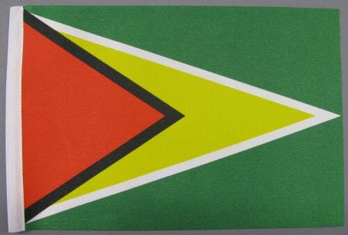 Guyana Tisch-Fahne DeLuxe ohne St&auml;nder | 15.5 x 24 cm - Bild 2