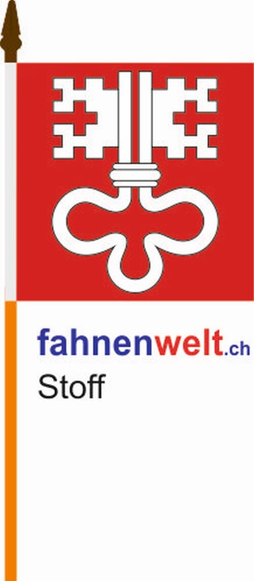Fahne Nidwalden am Stab aus bestem Stoff | 30 x 30 cm - Bild 1