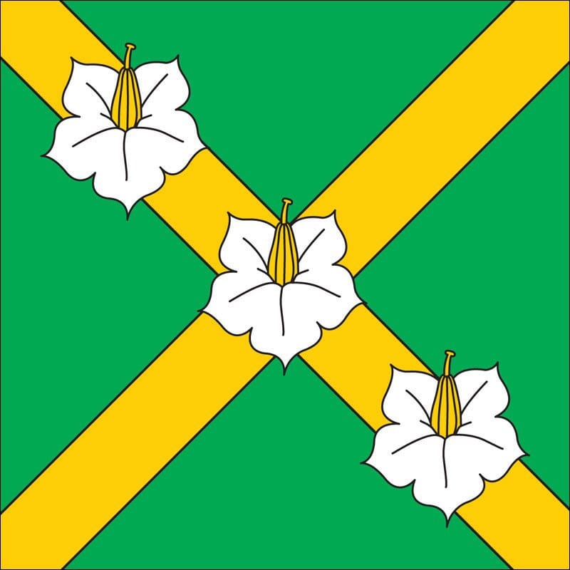Fahne Gemeinde 1076, 1083, 1084 Jorat-M&eacute;zi&egrave;res (VD) | 30 x 30 cm und Gr&ouml;sser - Bild 1
