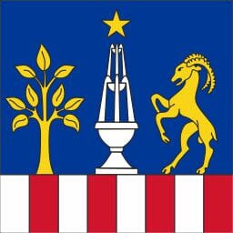 Fahne Gemeinde 6935 Bosco Luganese Ehemalige Gemeinde (TI) | 30 x 30 cm und Gr&ouml;sser - Bild 1