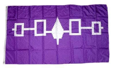 Fahne Irokesen Bund Indianer gedruckt im Querformat | 90 x 150 cm - Bild 1