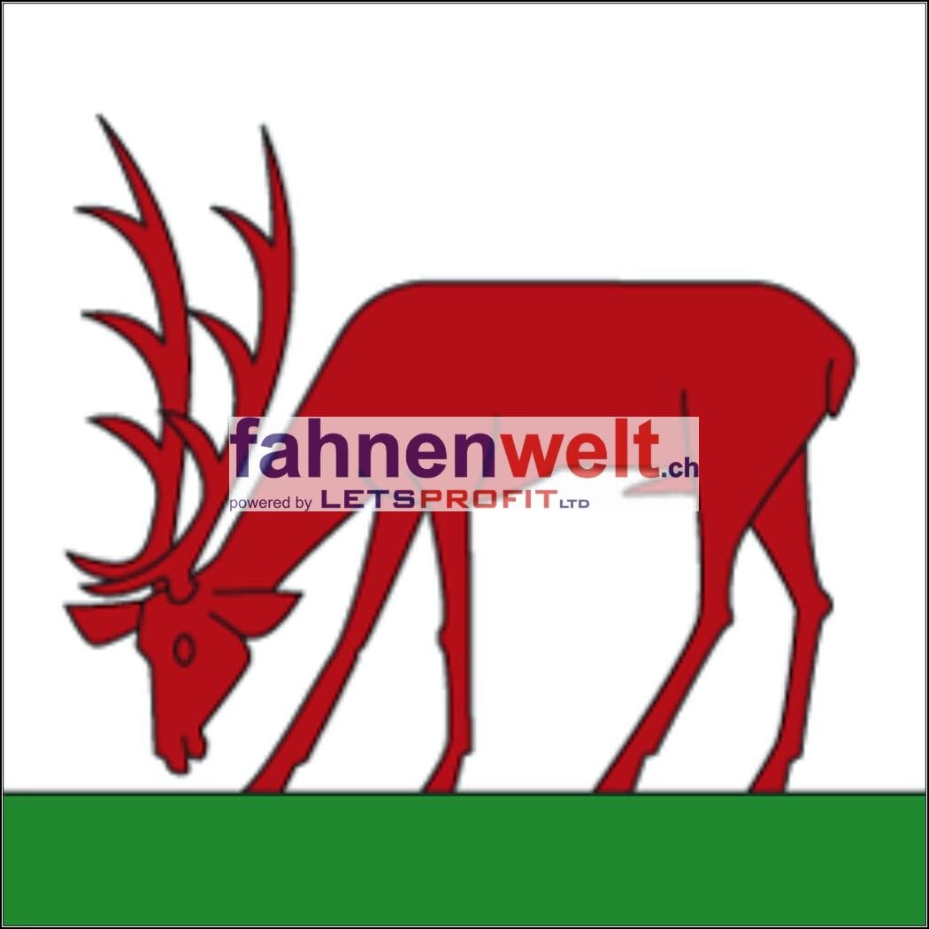 Fahne Gemeinde 5277 Hottwil Ehemalige Gemeinde (AG) | 30 x 30 cm und Gr&ouml;sser - Bild 1