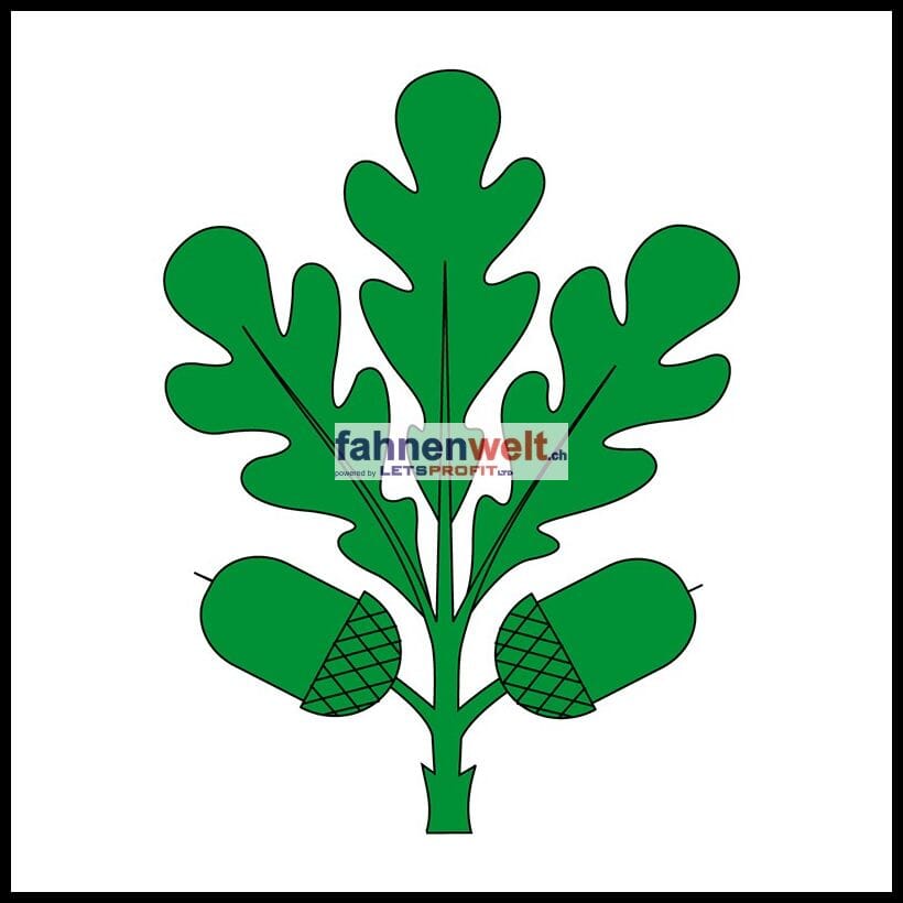 Fahne Gemeinde 9453 Eichberg (SG) | 30 x 30 cm und Gr&ouml;sser - Bild 1