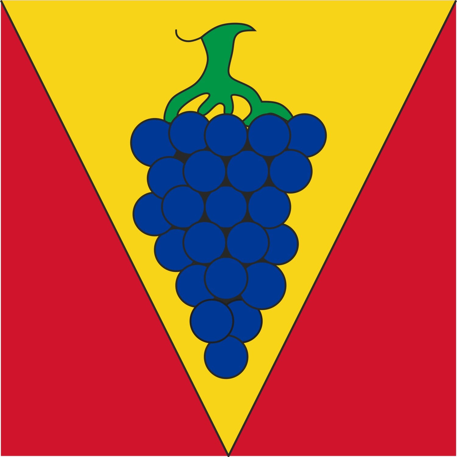 Fahne Gemeinde 6538 Verdabbio (GR) | 30 x 30 cm und Gr&ouml;sser - Bild 1