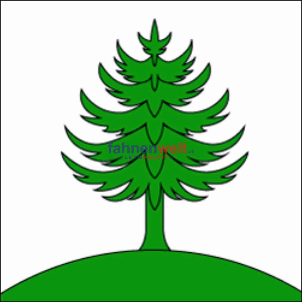 Fahne Gemeinde 6695 Peccia Ehemalige Gemeinde (TI) | 30 x 30 cm und Gr&ouml;sser - Bild 1
