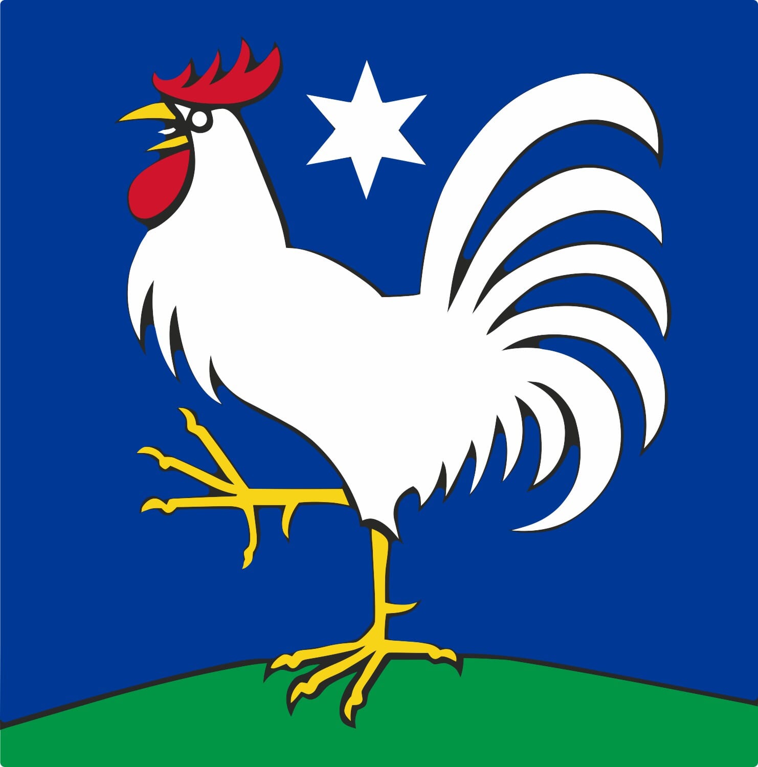 Fahne Gemeinde 5106 Veltheim (AG) | 30 x 30 cm und Gr&ouml;sser - Bild 1