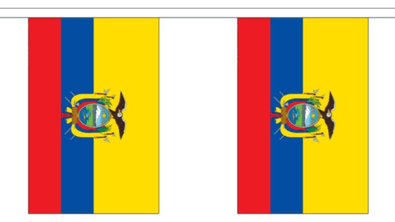 Fahnenkette Ecuador gedruckt aus Stoff | 30 Fahnen 15 x 22.5 cm 9 m lang - Bild 1
